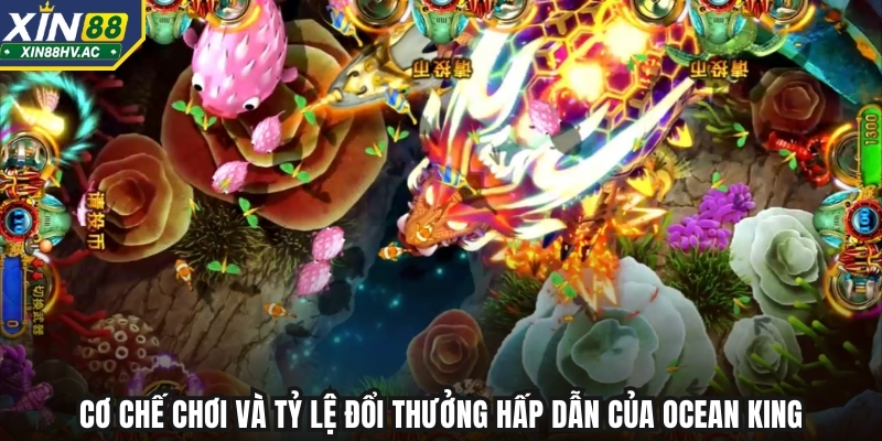 Cơ chế chơi và tỷ lệ đổi thưởng hấp dẫn của Ocean King